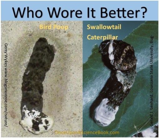 Who wore it better caterpillar