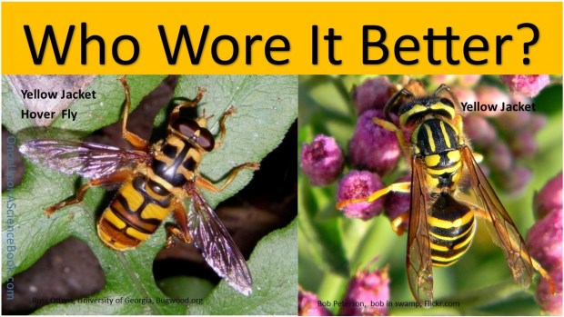 Who wore it better yellowjacket3