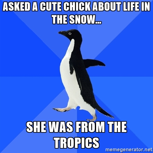 socially awkward penguin