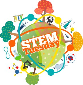 stem tuesday